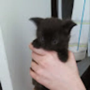 Meet your Posher, Daniel